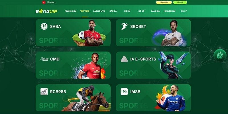 Thể Thao Bongvip – Không Gian Giải Trí Đỉnh Cao Và Tuyệt Vời